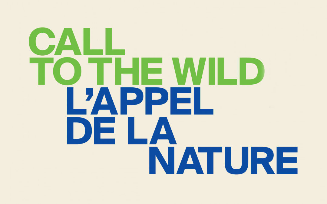 Presenting the artists of the Call to the Wild exhibition