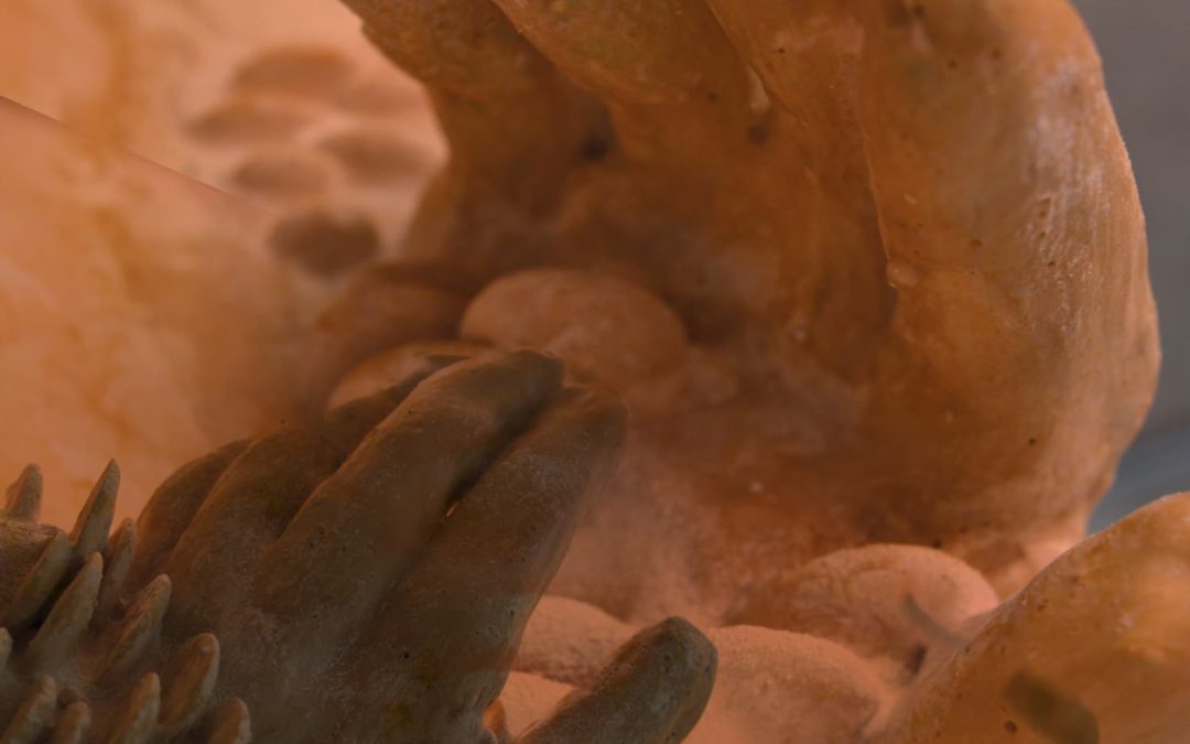 Alma Heikkilä’s solo exhibition opens on 31 May at RADIUS in Delft