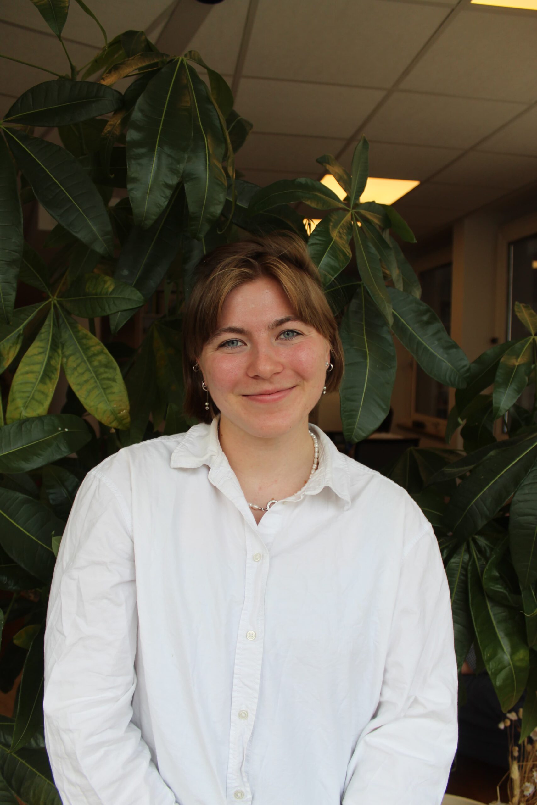 Portrait of Tilda Forss. They have short, light coloured hair and blue eyes. They are dressed in a white shirt and are smiling softly with tall leafy plants and an office-like background behind them.