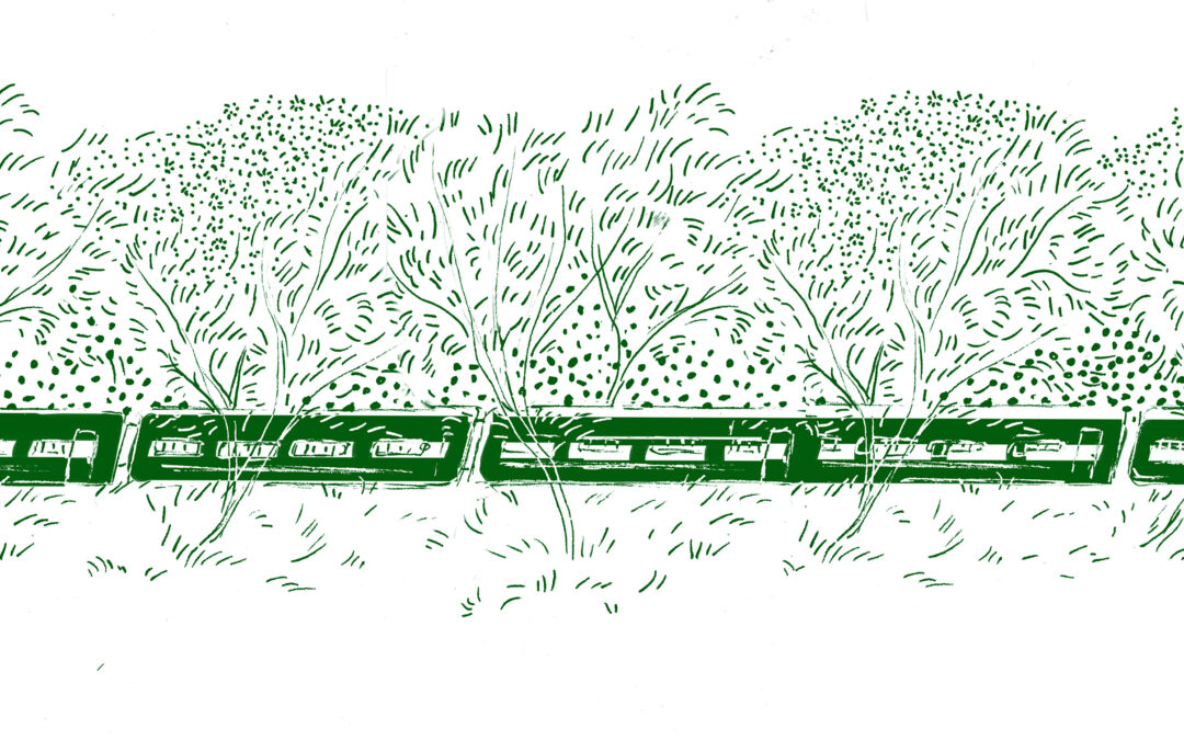 The Green Train: Riding the night, planting the future