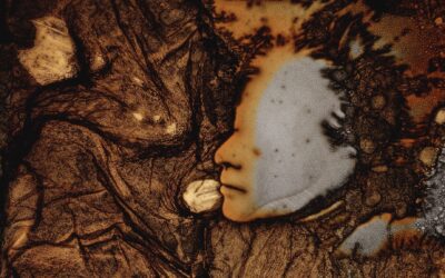 Strong Finnish presence at IFFR 2026