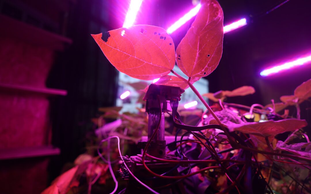 Zoöp Connections 2026