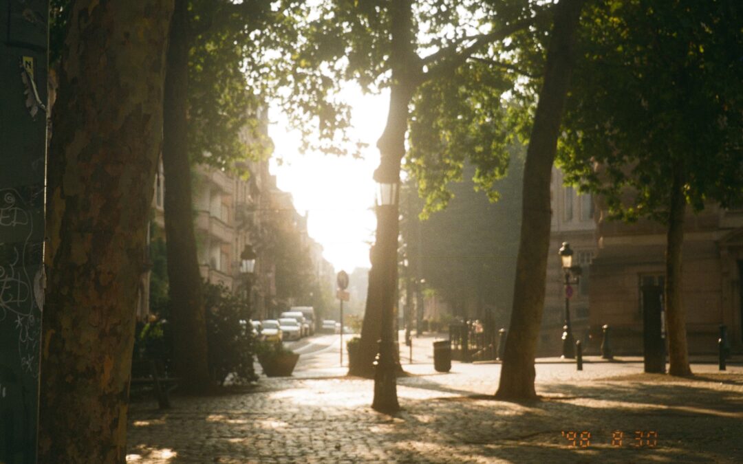 Svenska kulturfonden internship at the Finnish Cultural Institute for the Benelux