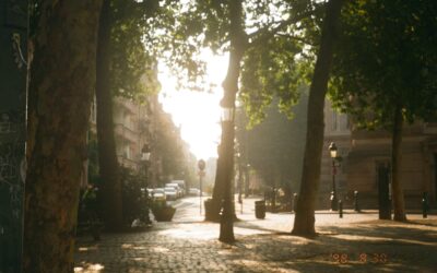 Svenska kulturfonden internship at the Finnish Cultural Institute for the Benelux