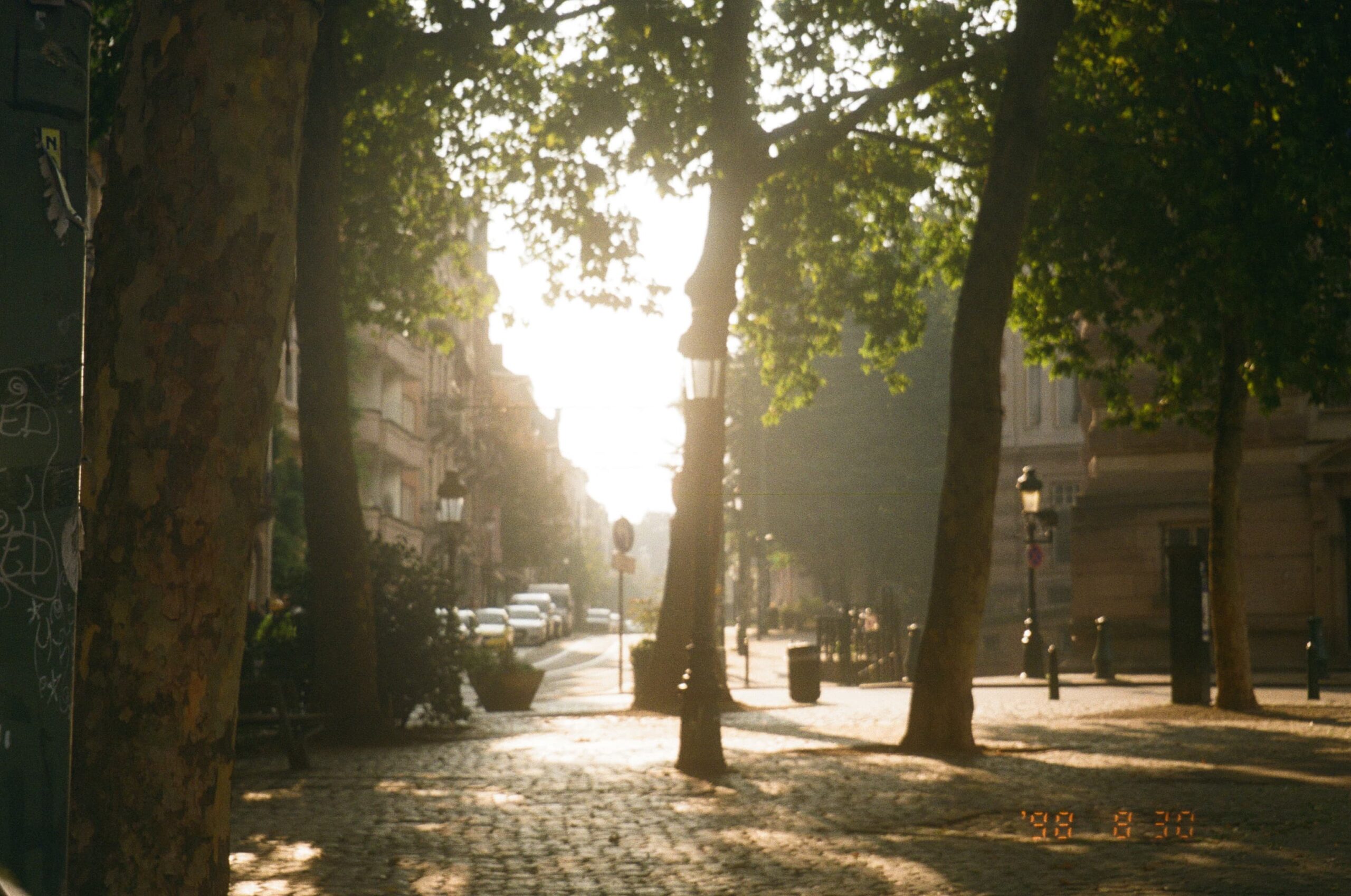 Brussels street-SKF call-Tilda Forss-2 Late afternoon sunlight bathes a square in Brussels. Trees and lampposts on a cobbled square are back lit, with a street seen in the background.