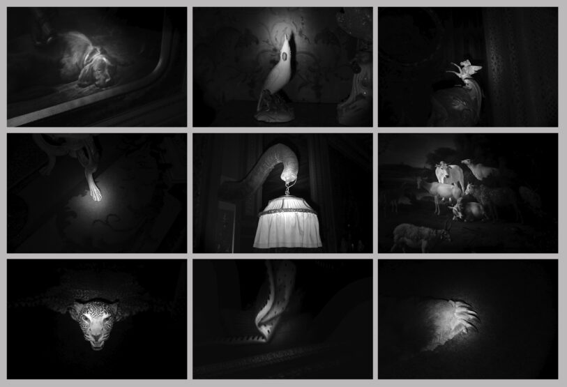 9 black and white photographs. Each photo is a different animal or beast lit up on a black background.