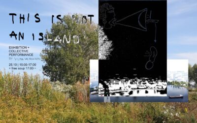 Zoöp Connections: Vilma Vanhanen presents This is not an Island! at Buitenplaats Brienenoord